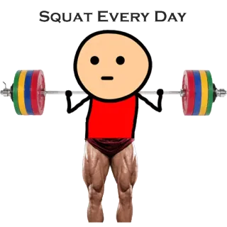 🏋 SQUAT EVERY DAY スクワット, 運動, ウェイトリフティング, フィットネス, トレーニング, ジム, ボディービル telegram sticker