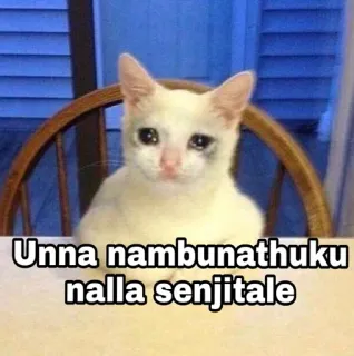 Name thonala whatsapp stickers