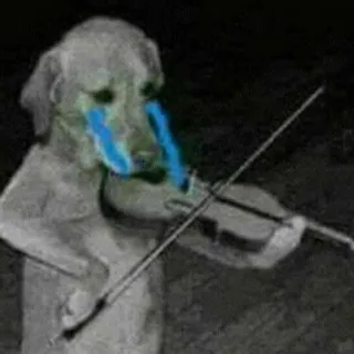 🥺 chien, violon, triste, pleurer, mème telegram sticker