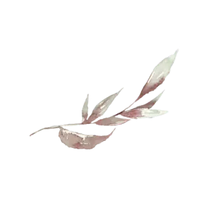 🌫 잎, 자연, 수채화, 식물 telegram sticker