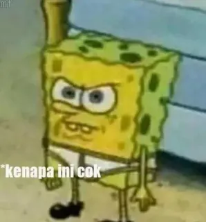 🧽 Spongebob *kenapa ini cok 스폰지밥, 웃긴, 밈, 인도네시아, 만화 telegram sticker