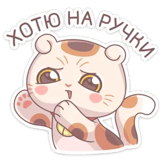 🤗 ХОТЮ НА РУЧКИ кот, милый, каваий, очаровательный, стикер, русский whatsapp sticker