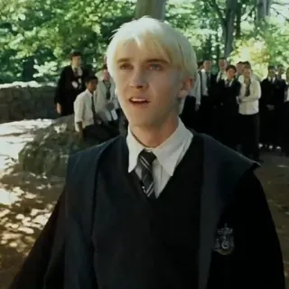 🐍 Draco Malfoy Harry Potter Draco Malfoy, Slytherin, mago, Harry Potter, magia, Tom Felton whatsapp sticker