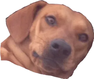 MELancolia whatsapp stickers