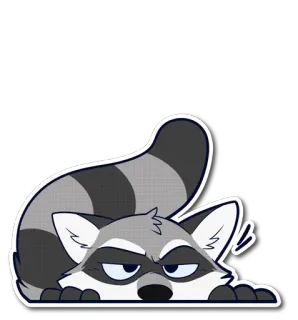 Rosco Raccoon whatsapp stickers