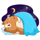 😴 slapen, hond, cartoon, slaap, nacht, maan, sterren telegram sticker