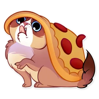 🍕 gato, pizza, engraçado, animal, fofo, comida whatsapp sticker