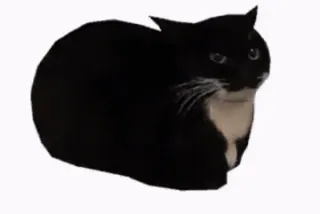 😏 cat, animal, pet, black cat, mammal, domestic animal whatsapp sticker