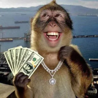 🤑 monkey monkey, money, rich, cash, diamonds, jewelry, wealth, funny telegram sticker