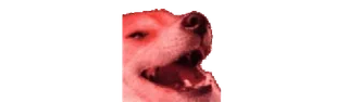 🤪 dog, animal, pet, meme whatsapp sticker