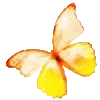 🦋