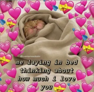 💗 me laying in bed
thinking about
how much i love
you kucing, cinta, meme, hati, lucu, tempat tidur, berpikir telegram sticker