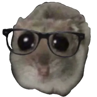 🤓 mouse mouse, glasses, nerd, funny, cute, rodent, meme telegram sticker