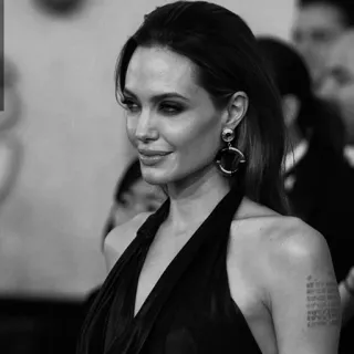 🎠 Angelina Jolie attrice, celebrità, donna, ritratto telegram sticker