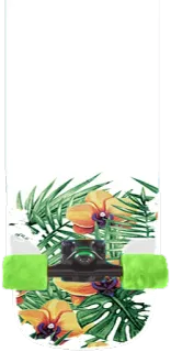 😲 Skateboard, Bloemen, Tropisch, Orchideeën, Monstera bladeren, Groen telegram sticker