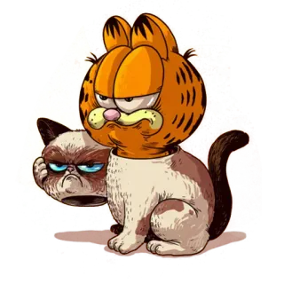 😡 Garfield Garfield, Grumpy Cat, cat, cartoon, humor, meme telegram sticker