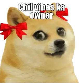 😀 Doge Doge Meme Chil vibes ka owner telegram sticker