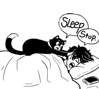 💤 Sleep. Stop. gato, dormir, stop, cama, molesto, gato esmoquin telegram sticker