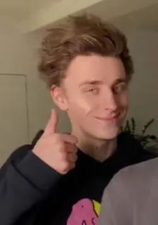 👍 telegram sticker