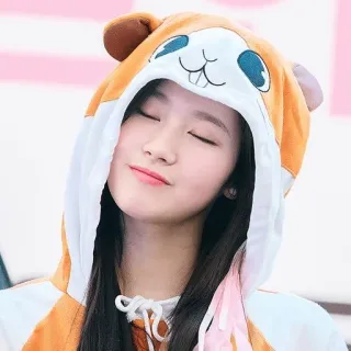 😌 wanita, hamster, imut, hewan, hoodie, potret whatsapp sticker