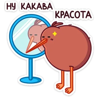 ⭐ НУ КАКАВА КРАСОТА Kiwi Vogel, Spiegel, Schönheit, süß, Aufkleber, Tier, Vogel whatsapp sticker