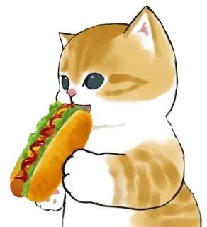 🥨 猫, ホットドッグ, 食べ物, 動物, かわいい, ペット telegram sticker