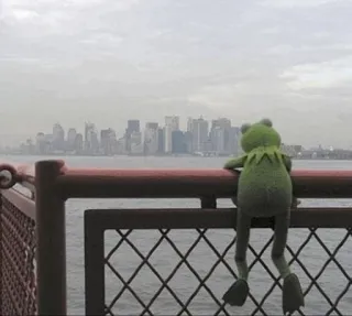 😔 Kermit Kermit the Frog, plush, city, skyline, water, travel, pensive, daydreaming telegram sticker