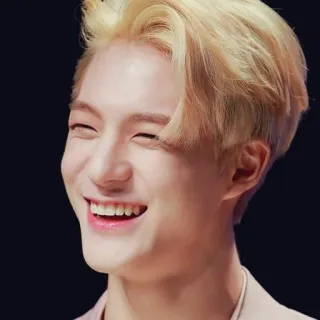 🤟 Kpop, Thần tượng, Nụ cười, Đàn ông, Tóc vàng, Chân dung, Vui vẻ telegram sticker