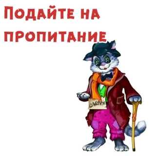 😎 Подайте на пропитание gato, implorando, russo, doação, fofo, animal telegram sticker