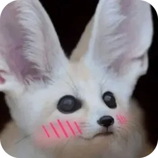 ❤ fennec fox telegram sticker