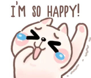 😅 I'M SO HAPPY! glücklich, Katze, süß, fröhlich, lachend, Emotion, lustig, Cartoon whatsapp sticker