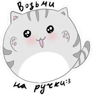 😊 Возьми на ручки :3 chat, mignon, animal, autocollant, kawaii telegram sticker