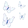 🦋