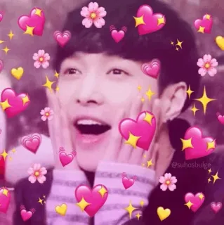 🌻 @suhosbulge coeurs, kpop, homme, émotions, amour, fan telegram sticker