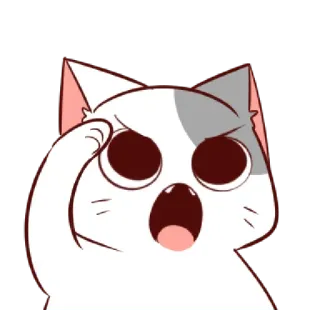 😠 telegram sticker