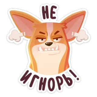 🤬 НЕ ИГНОРЬ! cachorro, bravo, desenho animado, chateado, irritado, corgi, ilustração whatsapp sticker