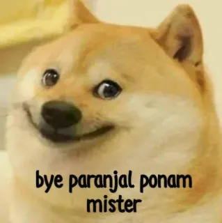 🤔 bye paranjal ponam mister doge, chien, mème, au revoir telegram sticker