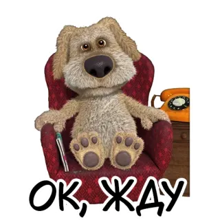 🙂 ОК, ЖДУ Hund, Stuhl, Warten, Ben telegram sticker