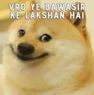 ☹ Doge Doge Meme VRO YE BAWASIR KE LAKSHAN HAI doge, meme, funny, dog, shiba inu, internet meme, reaction telegram sticker