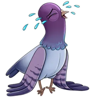 😭 crying, pigeon, bird, sad, cartoon telegram sticker