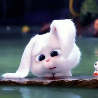 🐰 Snowball The Secret Life of Pets coelho, fofo, desenho animado, animal, animal de estimação, coelho whatsapp sticker
