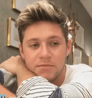 🎸 Niall Horan cantor, músico, homem, retrato, celebridade telegram sticker