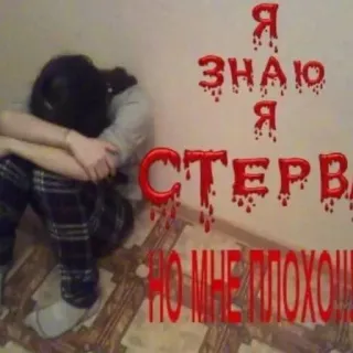 🍟 Я ЗНАЮ Я СТЕРВА НО МНЕ ПЛОХО telegram sticker
