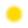 💛