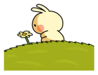 🌼 mignon, lapin, fleur, nature, dessin animé, illustration, lapinou, herbe telegram sticker