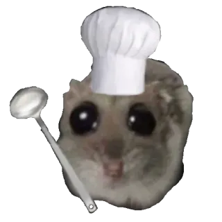 👩‍🍳 햄스터, 요리사, 요리, 국자, 귀여운, 동물 whatsapp sticker