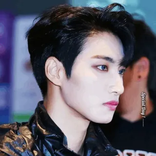 ✨ Special Day! chân dung, đàn ông, kpop, đẹp trai, hồ sơ telegram sticker