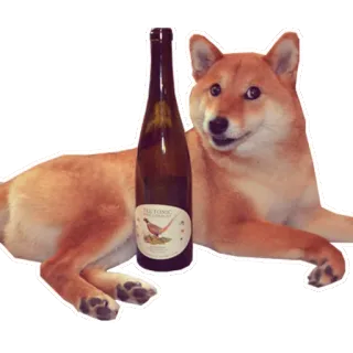 🍷 TEUTONIC WINE COMPANY доге, собака, вино, бутылка, тевтонская винная компания, питомец telegram sticker