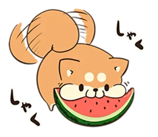🐶 しゃく Shiba Inu, Hund, Wassermelone, niedlich, kawaii, japanisch, Tier telegram sticker