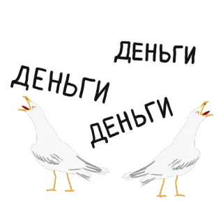 💸 ДЕНЬГИ uang, burung camar, burung, tunai, keuangan telegram sticker
